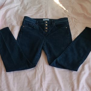 Loft Button Fly Skinny Jeans
